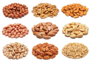 Beyaz üzerine çeşitli fındık toplama.