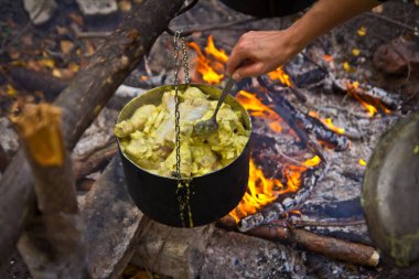 Yanan orman ve bu karıştırma bir el kamp bir tencerede tavuk pişirme