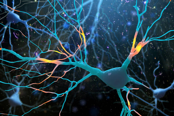 3D Illustration of human nerve cells structure.