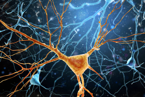 3D Illustration of Human Brain Neurons structure.