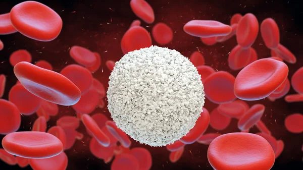 Λευκών και ερυθρών αιμοσφαιρίων. Λευκοκύτταρα. 3D απεικόνιση. — Φωτογραφία Αρχείου
