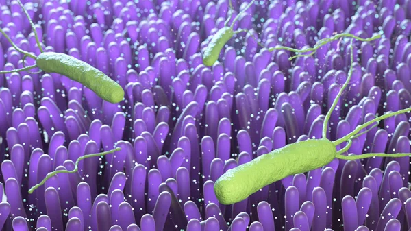 Bakteria Helicobacter pylori, 3d render — Zdjęcie stockowe