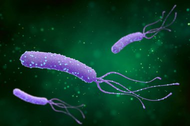 Soyut yeşil arka planda Helicobacter pillori bakterisi tasviri. Tıbbi konsept. 