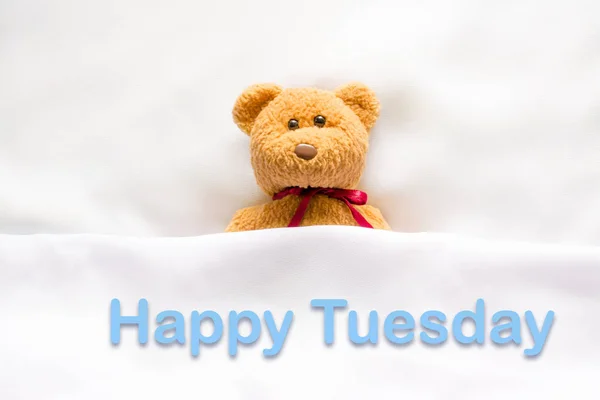 Miś leżącego w białym łóżku z komunikatem "Happy Tuesday " — Zdjęcie stockowe