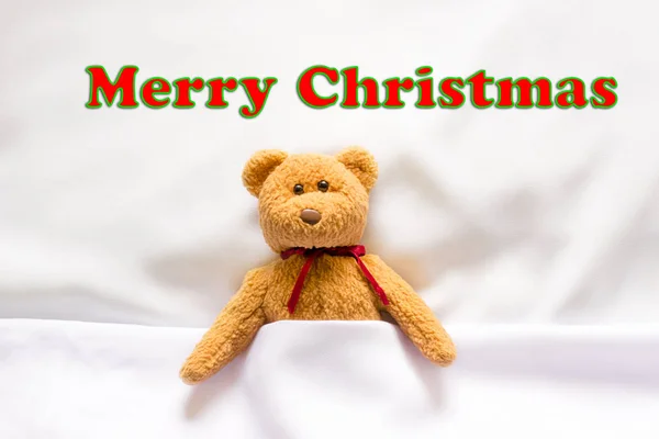 泰迪熊与标注符号和消息"圣诞快乐" — 图库照片