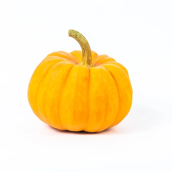 Zucca su sfondo bianco — Foto Stock