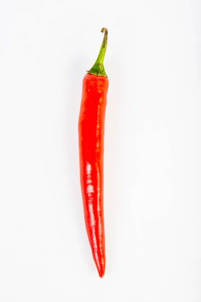 Chili op witte achtergrond — Stockfoto