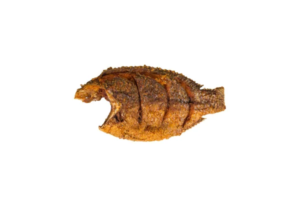 Fired fish on white background — Stock Photo, Image