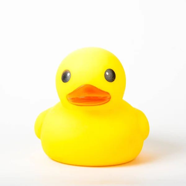 Bath duck on white background,duck toy,Cute yellow rubber duck — Stock Photo, Image