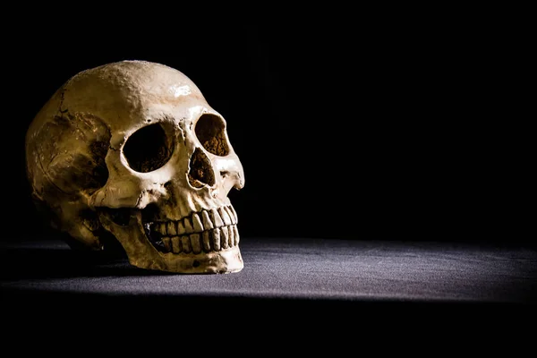 Karanlıktaki kafatası — Stok fotoğraf