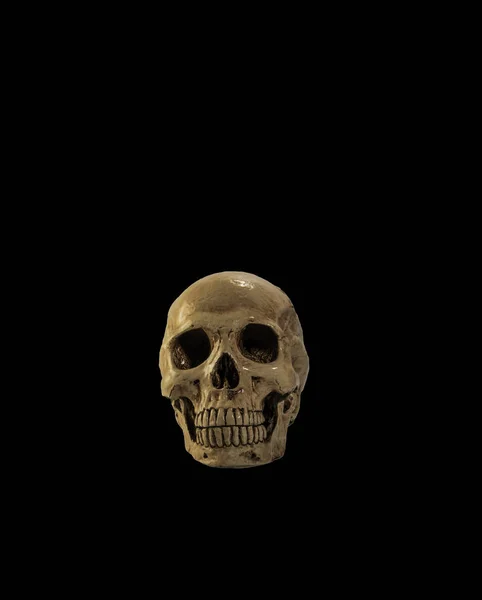 Crâne dans le noir — Photo