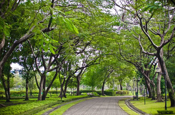 Spacer w parku w Tajlandii — Zdjęcie stockowe