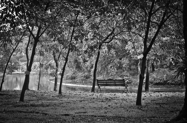 公园里的长椅 — 图库照片