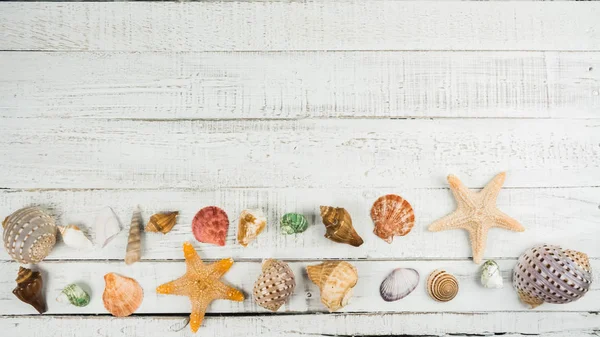 Estrella de peces y conchas marinas en el fondo de madera — Foto de Stock