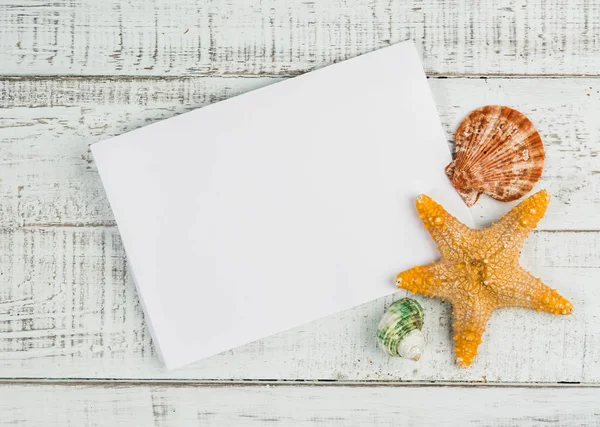 Stella di pesce e conchiglie sul fondo di legno — Foto Stock