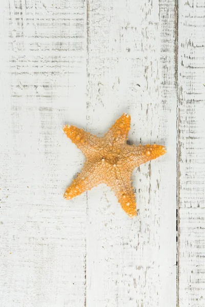Rybí hvězda a moře mušle na dřevěné pozadí — Stock fotografie