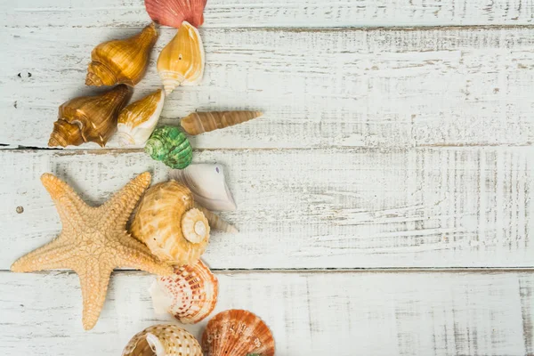 Estrella de peces y conchas marinas en el fondo de madera — Foto de Stock