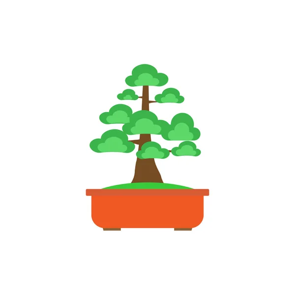 Bonsai Árbol sobre fondo blanco, Vector — Vector de stock