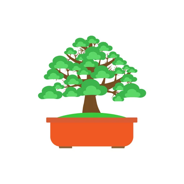 Bonsai Tree on white background ,Vector — Stock Vector