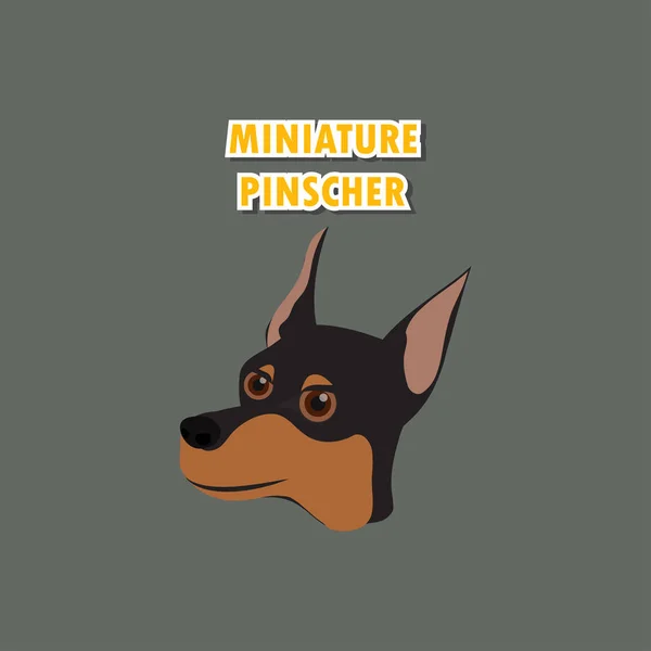 Perro pinscher miniatura en el fondo — Vector de stock