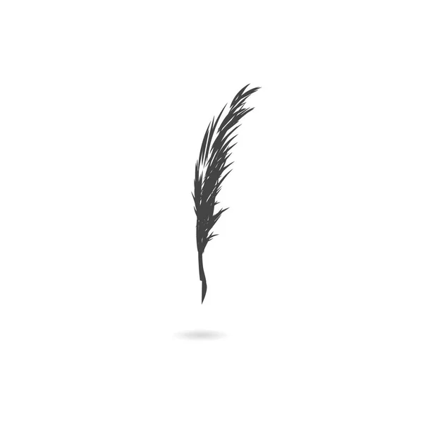 Feather vector op achtergrond — Stockvector