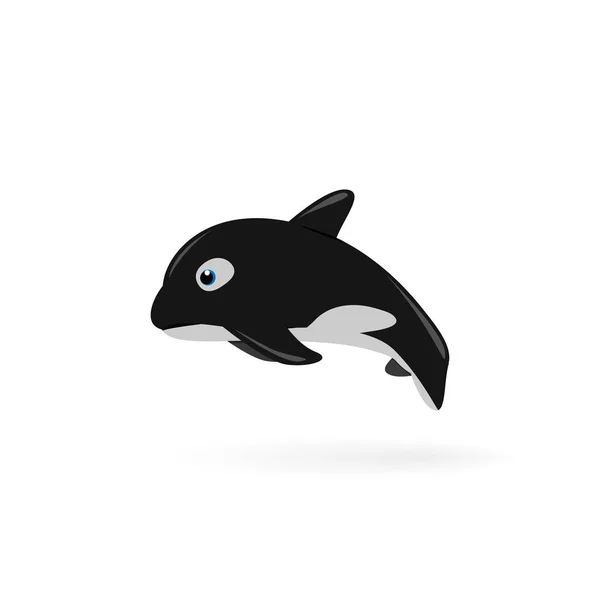 The killer whale (Orcinus orca) Vector illustration. — Stock Vector