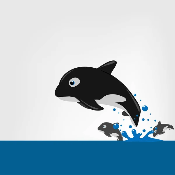 A baleia assassina (Orcinus orca) Ilustração vetorial . — Vetor de Stock