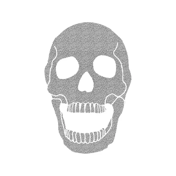 Cráneo pirata, vector de dibujos animados sobre fondo blanco — Vector de stock