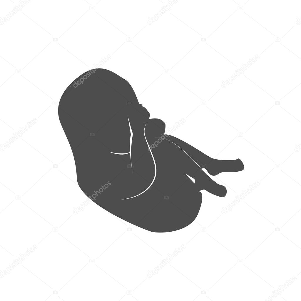 Pregnancy. Fetal growth from fertilization. Embryo development. Human fetus