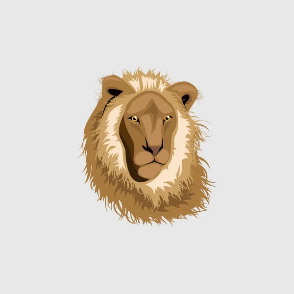 Lion hoofd illustratie, vector — Stockvector