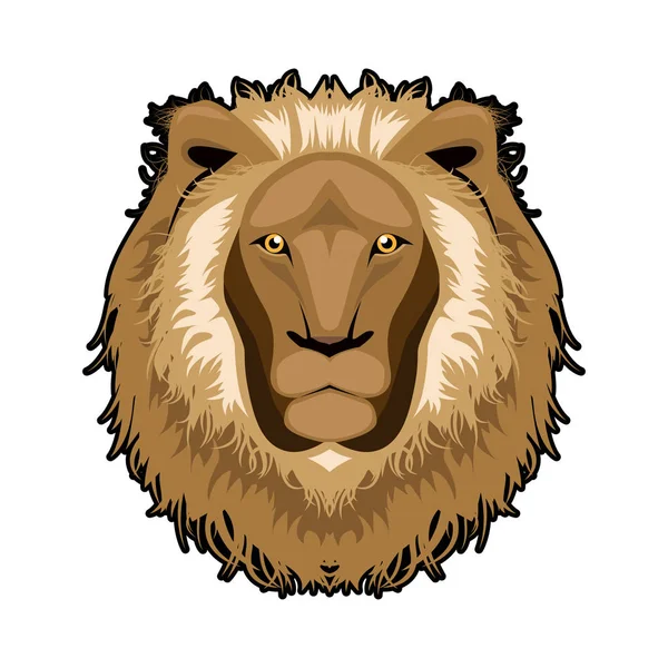 Lví hlavy ilustrace, vektor — Stockový vektor