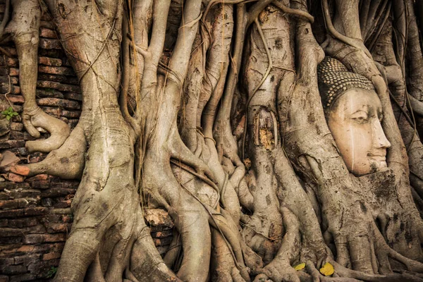 Buddha Head Tree Wat Maha That (Ayutthaya) (em inglês). Estátua de buddha presa nas raízes de Bodhi Tree. Parque histórico de Ayutthaya — Fotografia de Stock