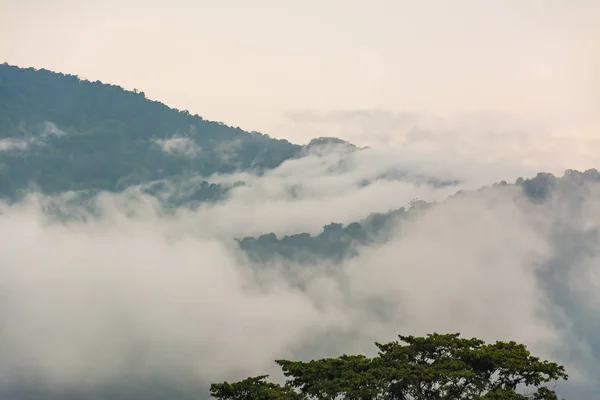 El paisaje de la montaña y la niebla — Foto de Stock