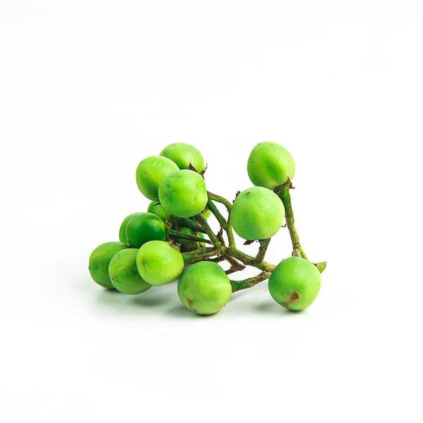 Solanum torvum ,Turkey berry   on white background — Stock Photo, Image