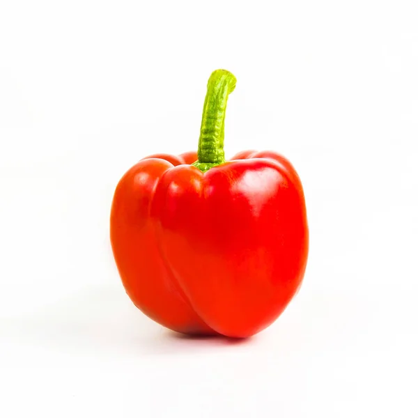 Pimiento aislado sobre fondo blanco — Foto de Stock