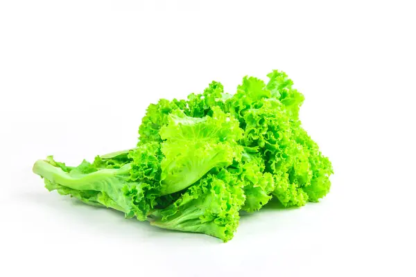 Saláta izolált fehér alapon — Stock Fotó