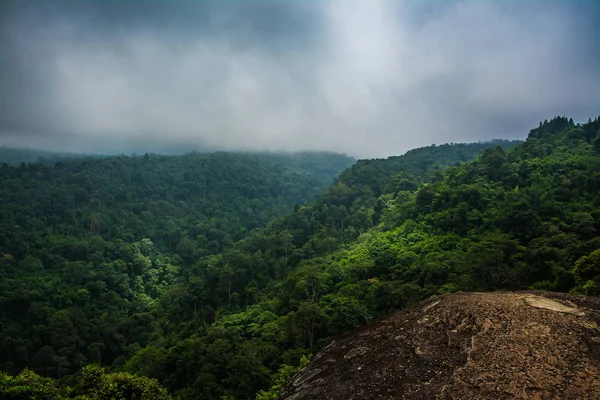 Paisaje de Selva tropical en Tailandia — Foto de Stock