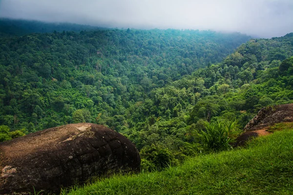 Paisaje de Selva tropical en Tailandia — Foto de Stock