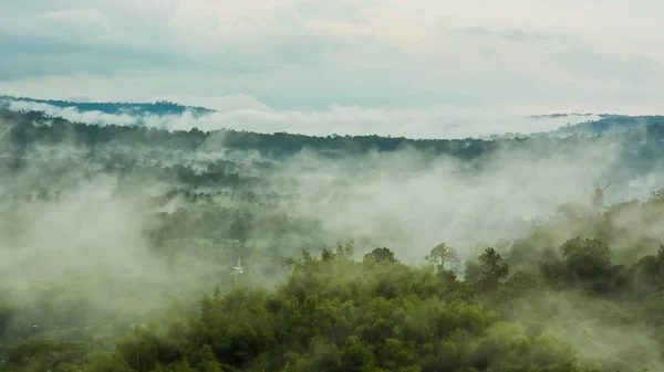 Montagne con alberi e nebbia in Thailandia — Foto Stock