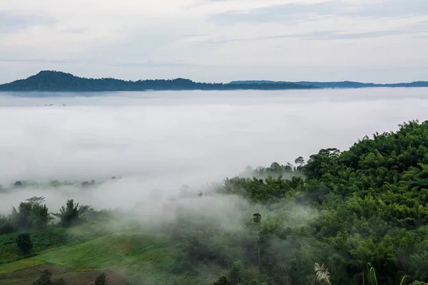 Montañas con árboles y niebla en Tailandia — Foto de Stock