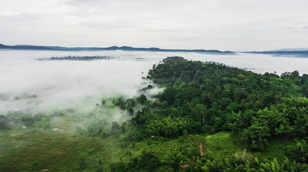 Montanhas com árvores e nevoeiro na Tailândia — Fotografia de Stock