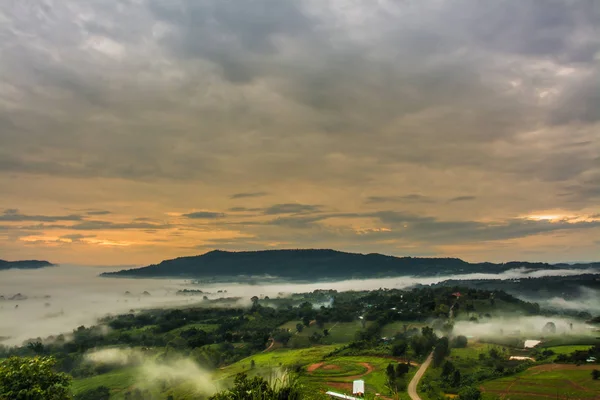 Горы с деревьями и туманом в Таиланде — стоковое фото