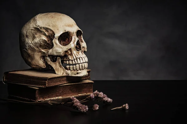 Crânio sobre a mesa, ainda vida — Fotografia de Stock