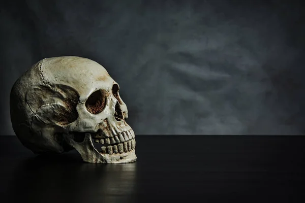 Cráneo sobre la mesa, naturaleza muerta —  Fotos de Stock
