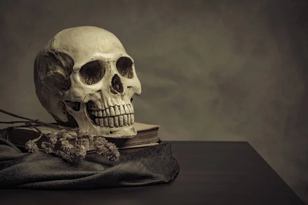 Cráneo sobre la mesa, naturaleza muerta —  Fotos de Stock