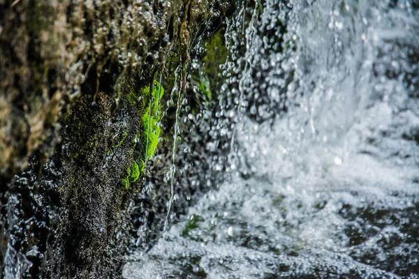 Pequeña presa de riego con agua que fluye — Foto de Stock