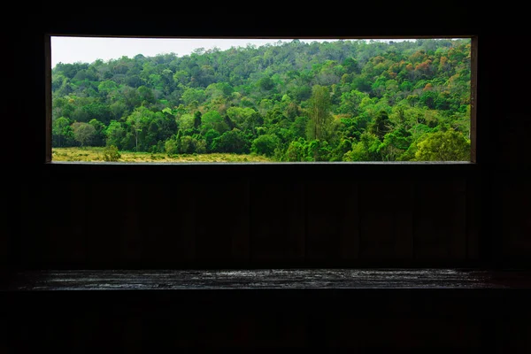 Paisaje de Prado con árbol, Parque Nacional Khao Yai Tailandés — Foto de Stock