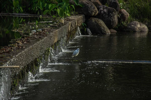 Kleine irrigatie dam met water stroomt — Stockfoto