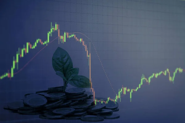 Plántulas que crecen de las pilas de monedas gráfico de velas backgro — Foto de Stock