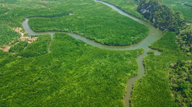 Havadan görünümü manzara ağaç veya orman, Krabi, Tayland Thailand  